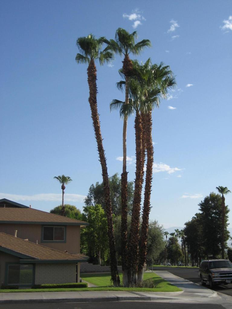 46805 Highway 74 4 Property Photo 25