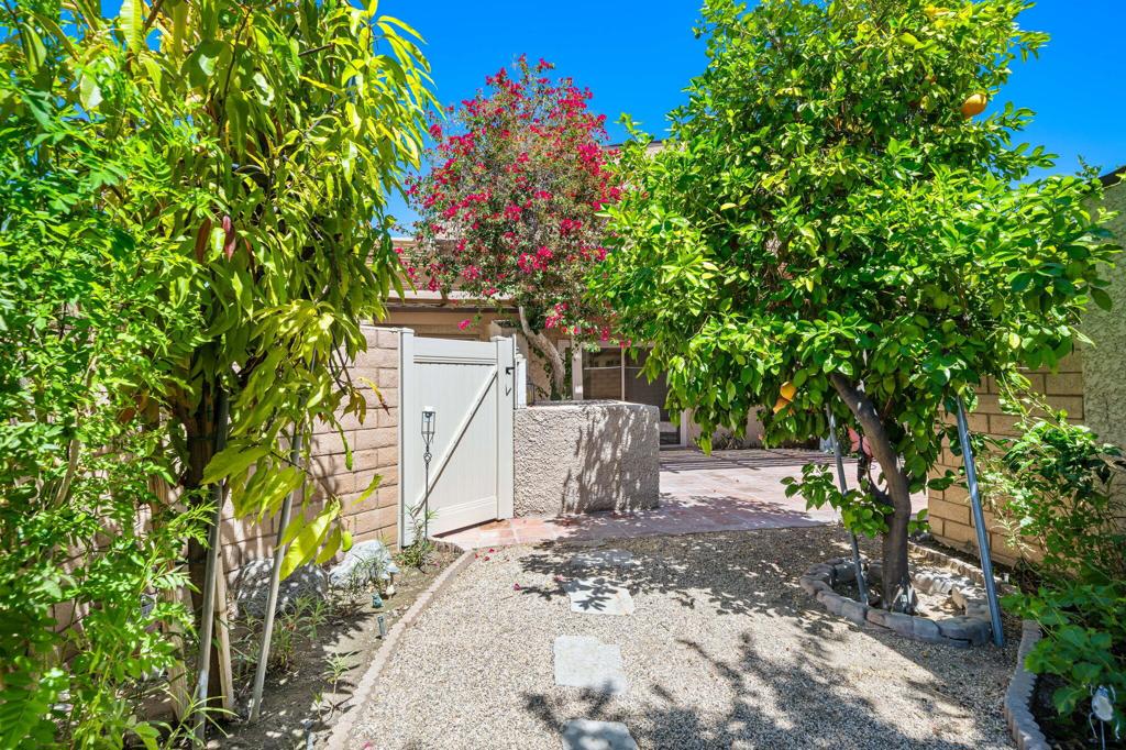 74185 Catalina Way Property Photo 24