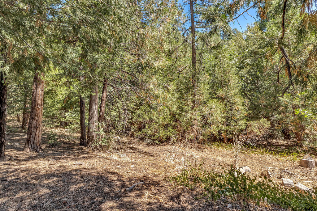 55175 Daryll Road Property Photo 37