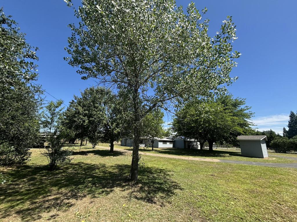 5050 Bo Peep Lane Property Photo 38