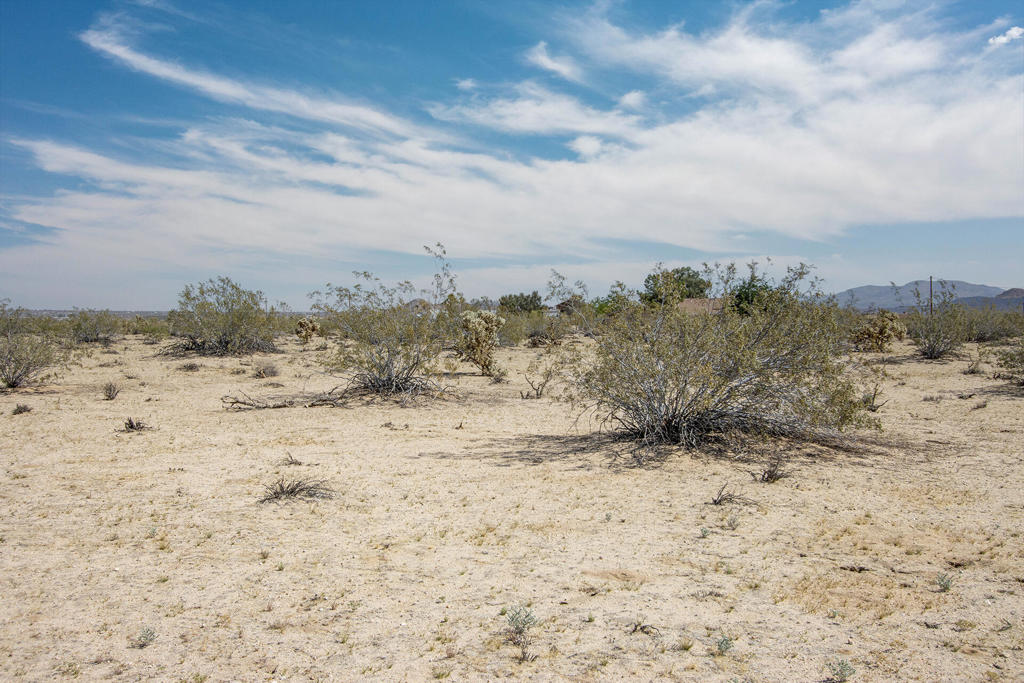305 Two Mile Road Property Photo 17