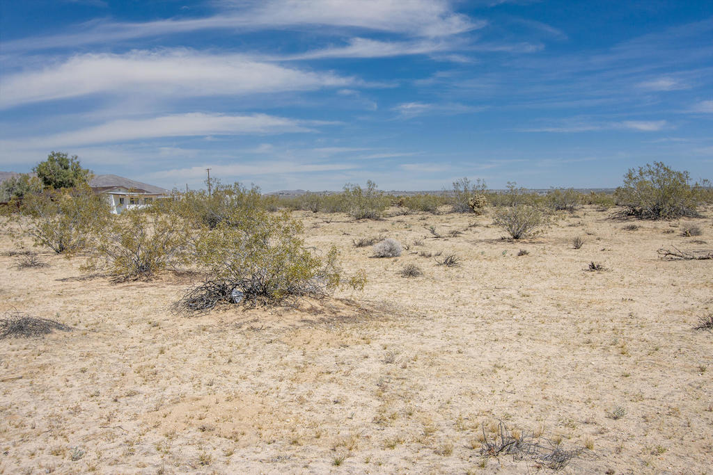 305 Two Mile Road Property Photo 24