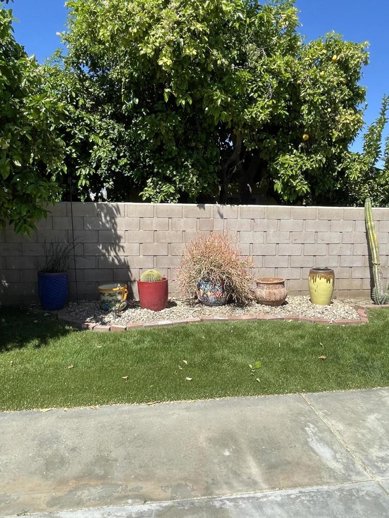 81620 Avenue 49 209b Property Photo 2