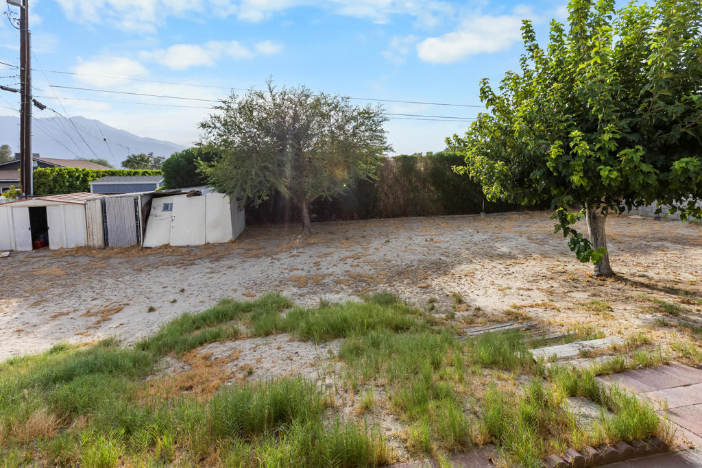 19525 White Sage Trail Property Photo 25