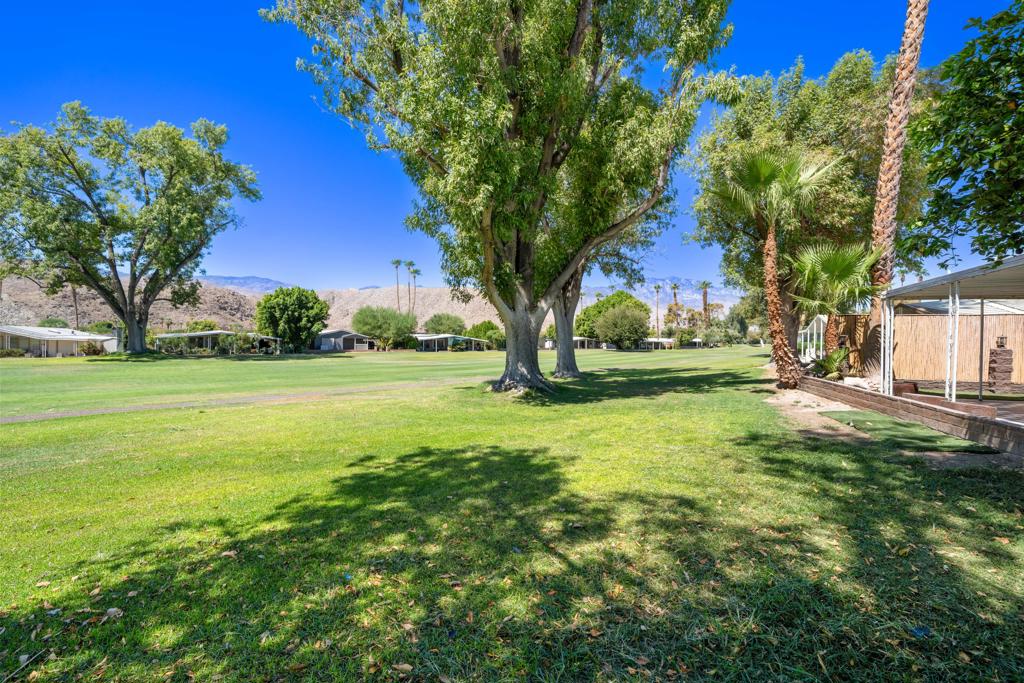 447 Paseo Perdido Property Photo 36