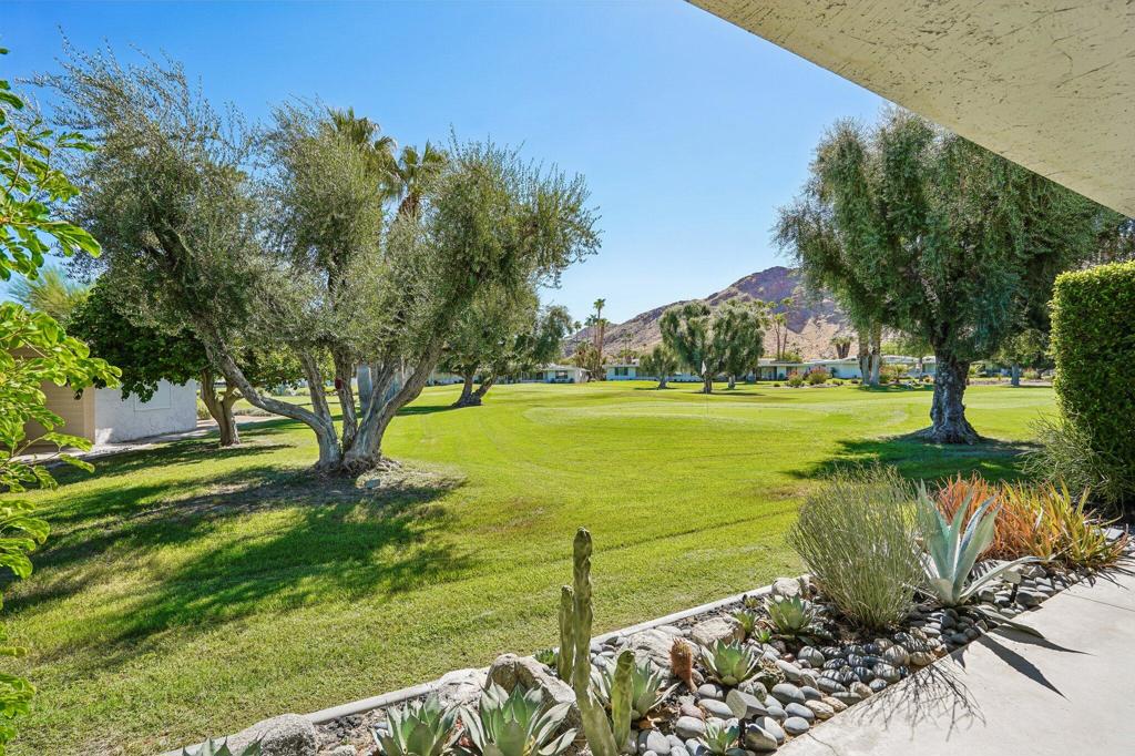 2320 Paseo Del Rey Property Photo 4