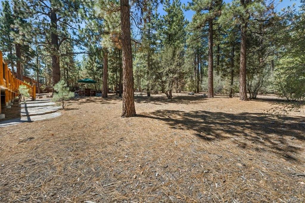 613 Cedar Glen Drive Property Photo 46