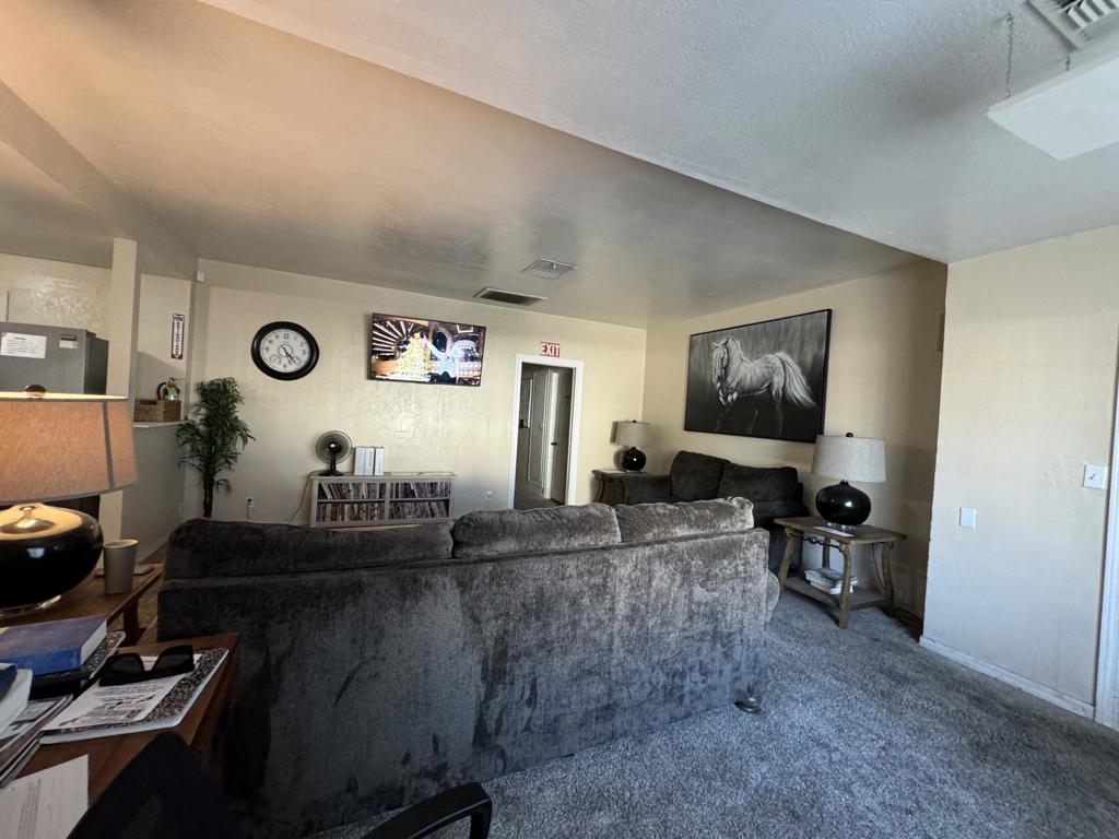 165 S Spring Street Property Photo 10
