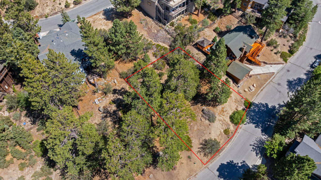 0 Paine Road Property Photo 4