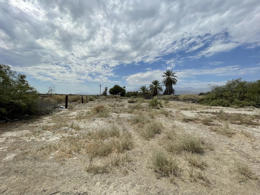 86741 Wallace Rd Road Property Photo 6