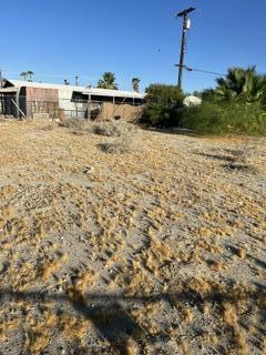 32421 Bowie Circle Property Photo 6