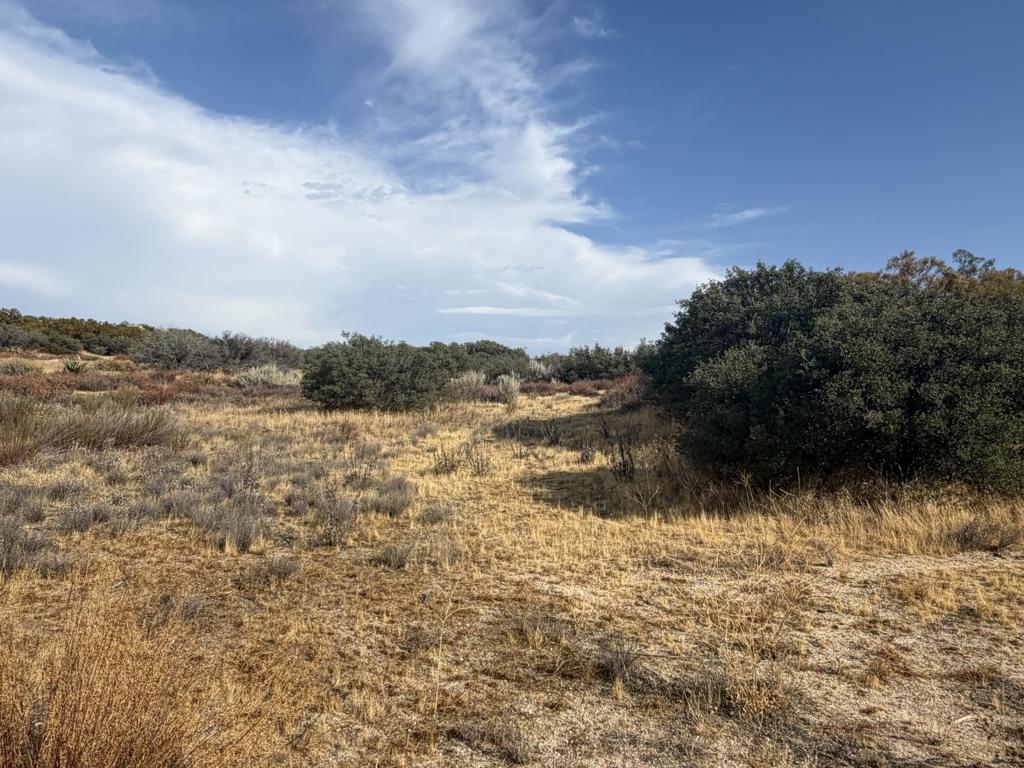 0 Kgkj Ranch Road Property Photo 1