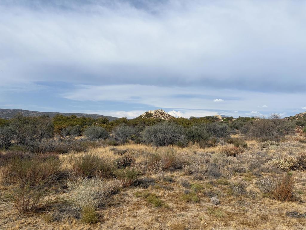 0 Kgkj Ranch Road Property Photo 2