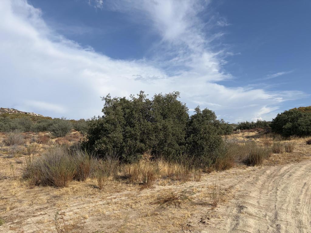 0 Kgkj Ranch Road Property Photo 4