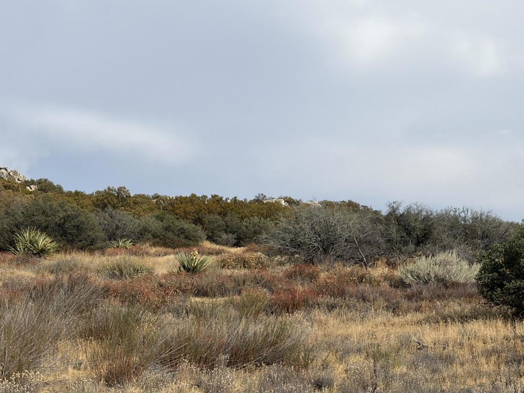 0 Kgkj Ranch Road Property Photo 5