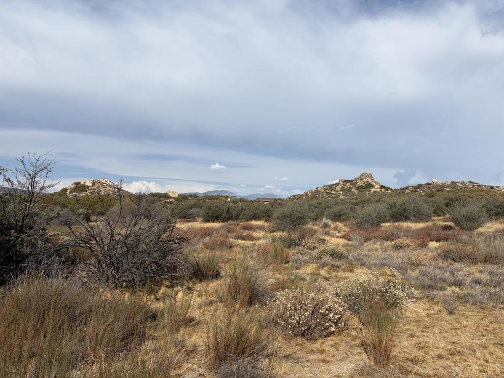 0 Kgkj Ranch Road Property Photo 6