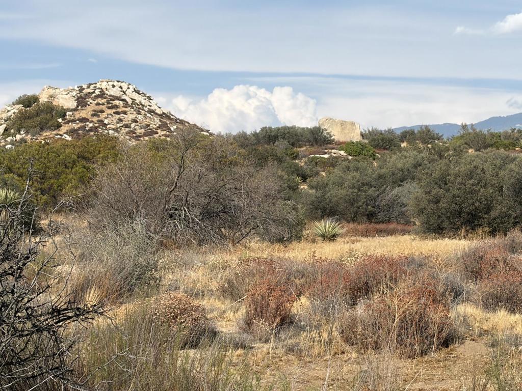 0 Kgkj Ranch Road Property Photo 8