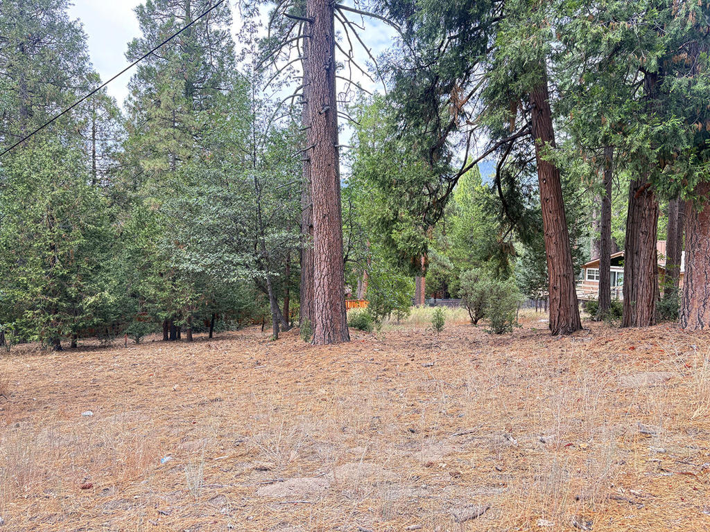 54218 Marian View Drive Property Photo 1