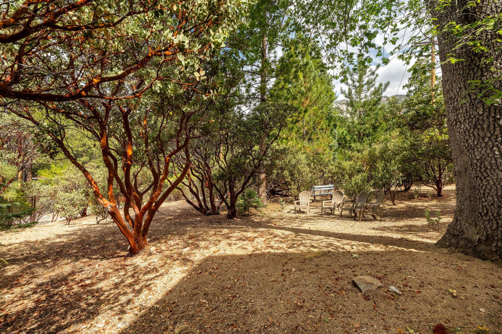 55370 Silver Tip Lane Property Photo 61