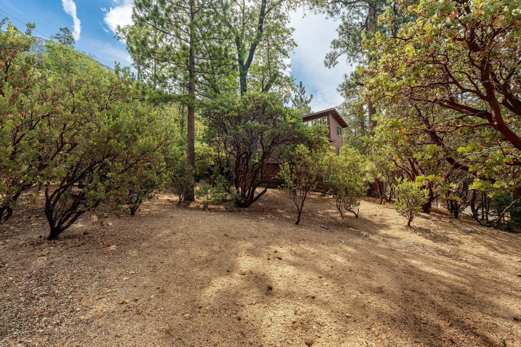 55370 Silver Tip Lane Property Photo 63