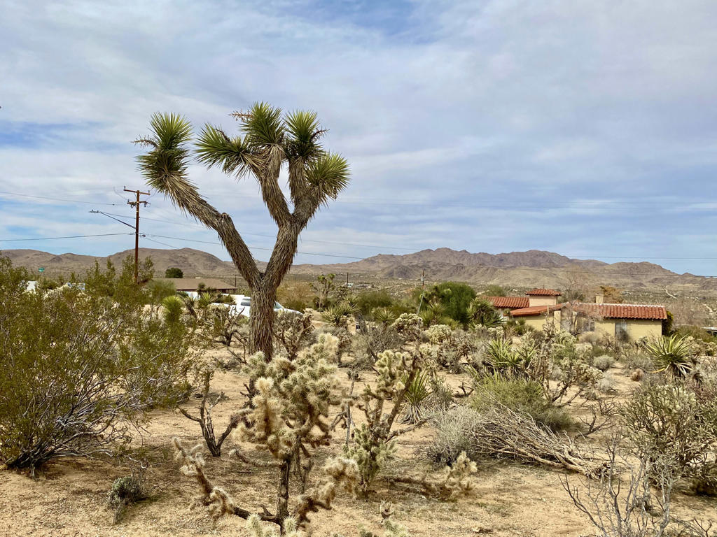 6925 Sunnyhill Road Property Photo 15