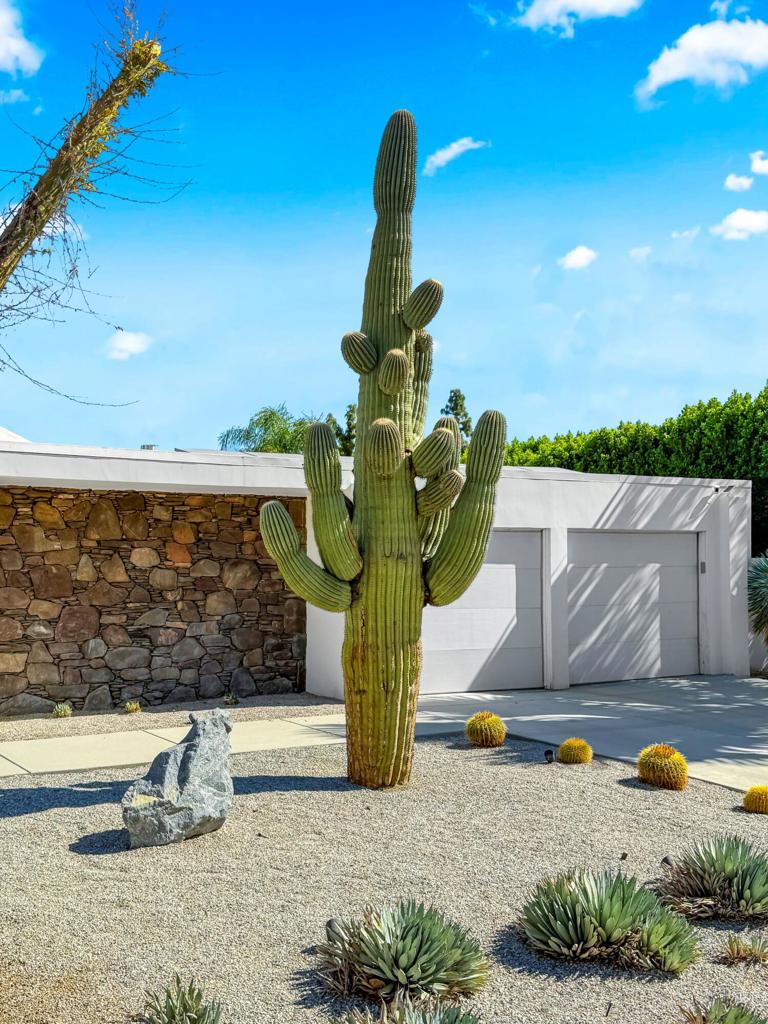 76120 Via Mariposa Property Photo 50