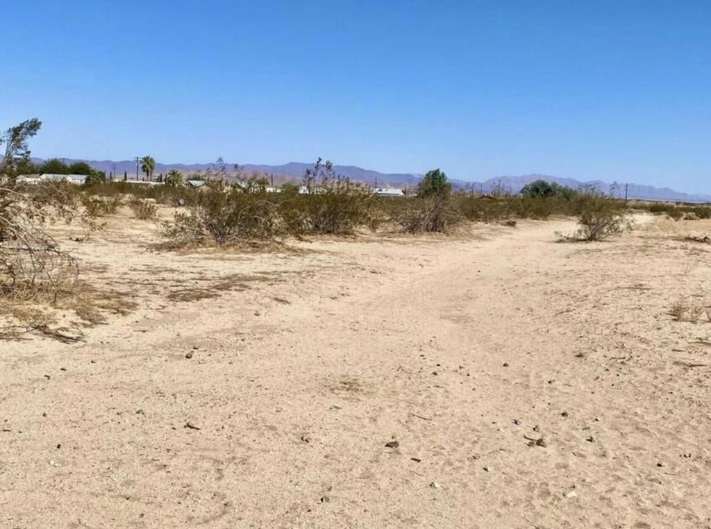 1114 Desert Queen Road Property Photo 8