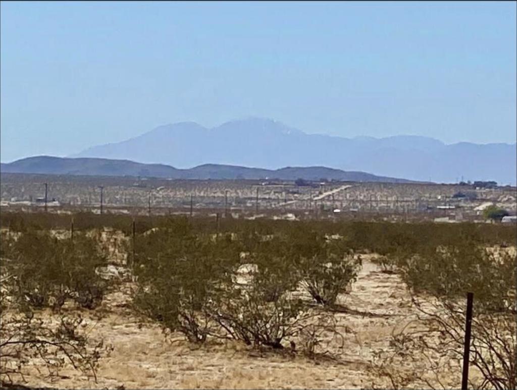 1114 Desert Queen Road Property Photo 12