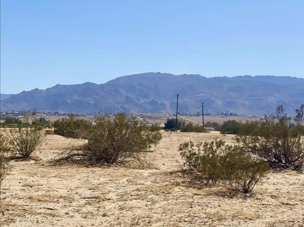 1114 Desert Queen Road Property Photo 13