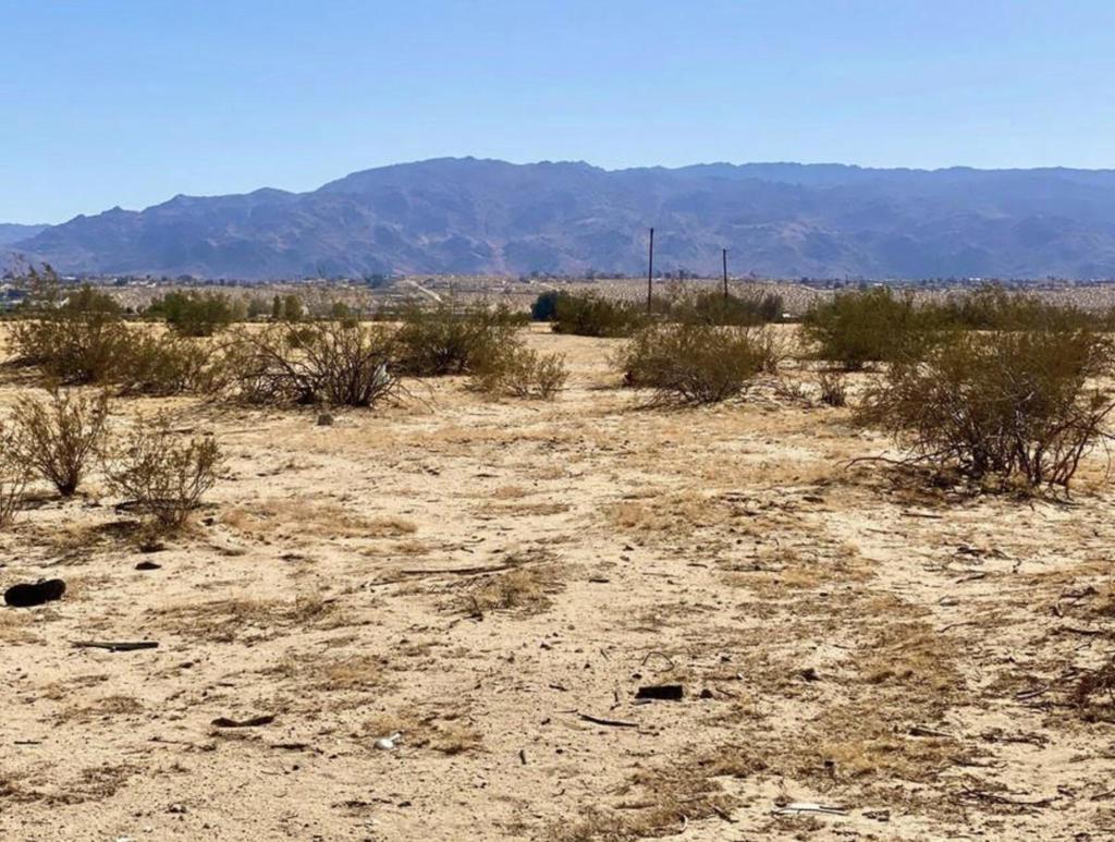 1114 Desert Queen Road Property Photo 16