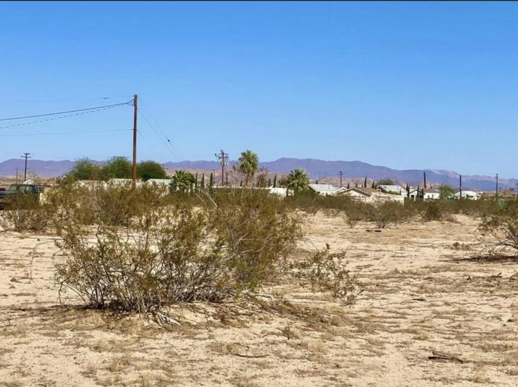 1114 Desert Queen Road Property Photo 17