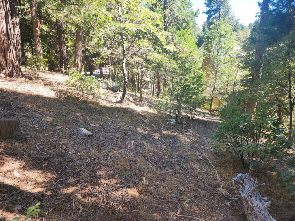 0 Grass Valley Property Photo 1