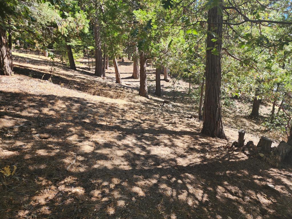 0 Grass Valley Property Photo 3