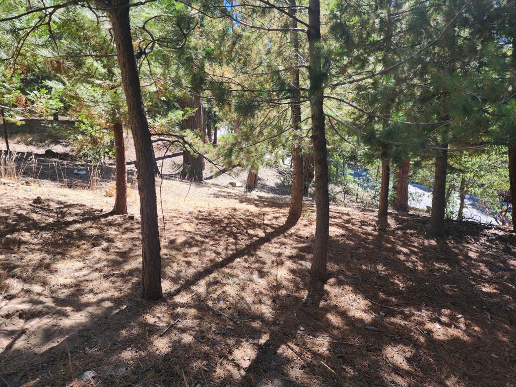 0 Grass Valley Property Photo 4
