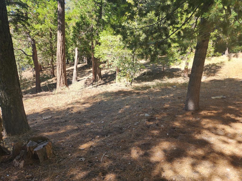 0 Grass Valley Property Photo 6