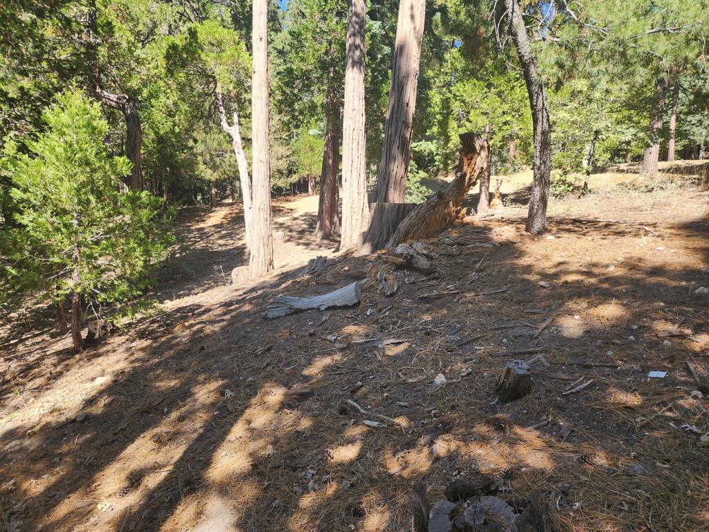 0 Grass Valley Property Photo 7