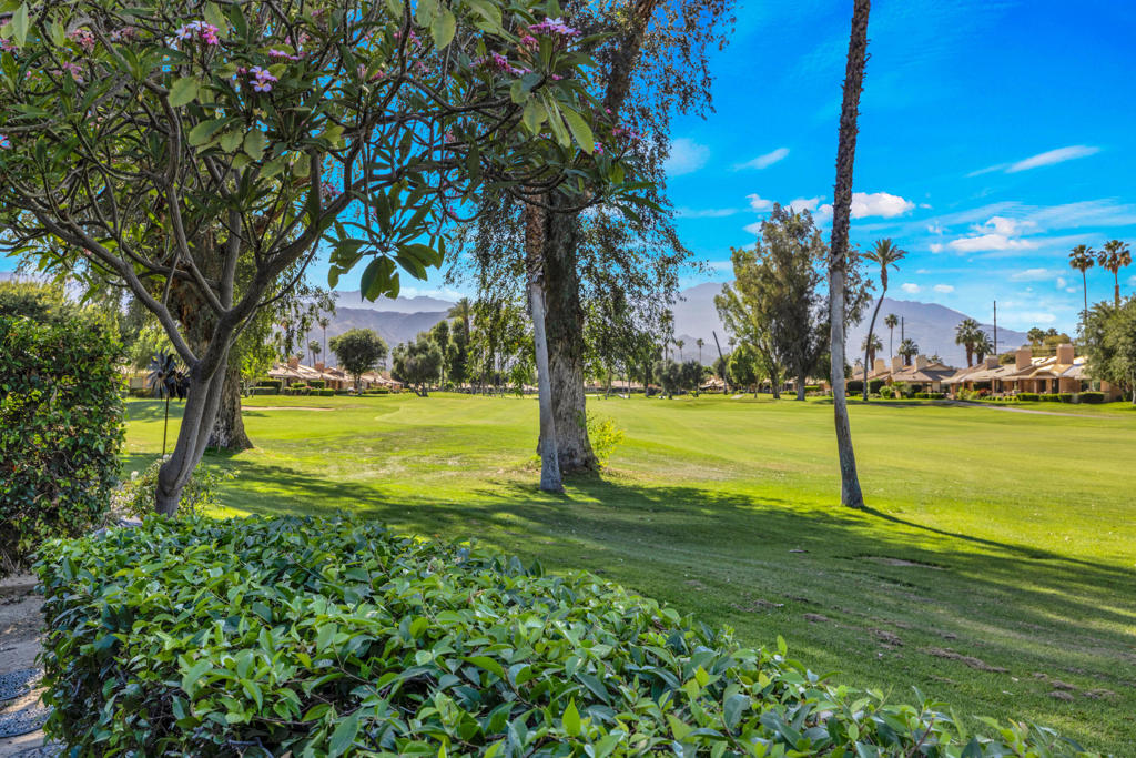272 Avenida Del Sol Property Photo 39
