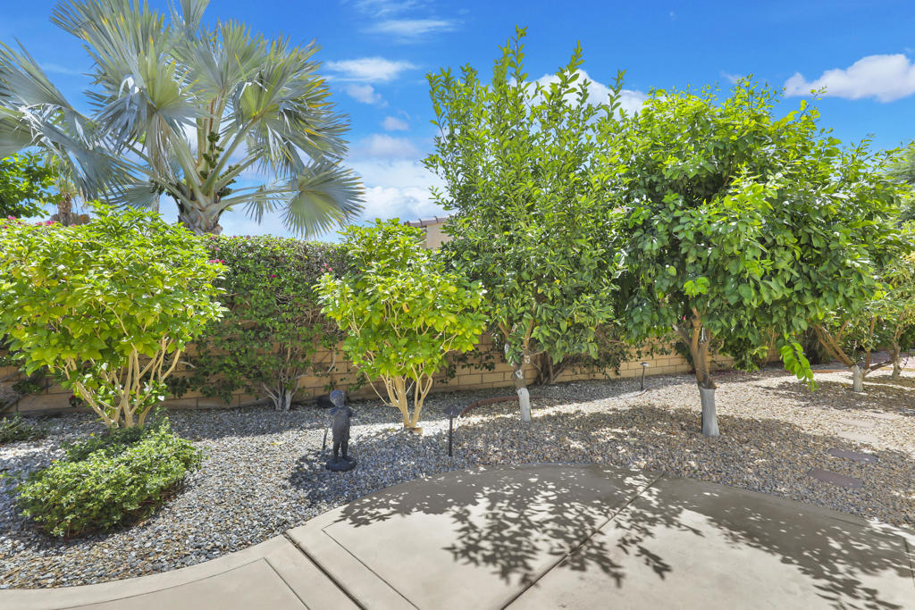 81770 Via La Serena Property Photo 36