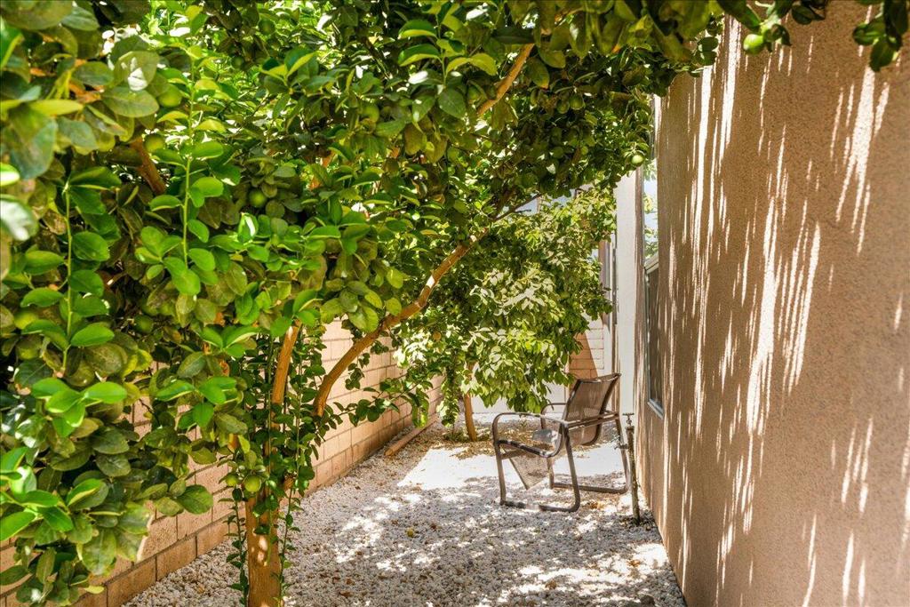 41736 Moneaque Road Property Photo 35