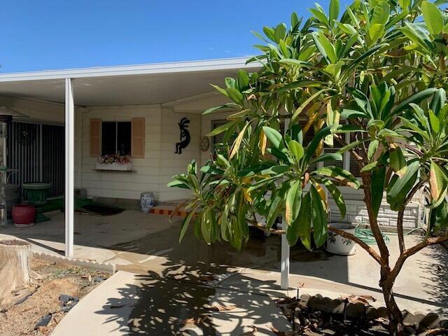 371 Avenue Andorra Property Photo 7