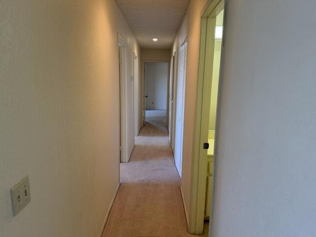 31200 Landau Boulevard 1402 Property Photo 8