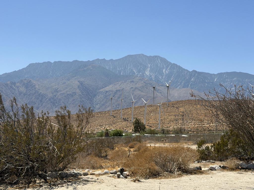 15236 Painted Hills Road Property Photo 28