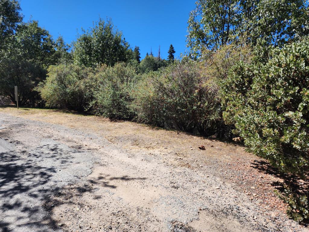 522 Elder Drive Property Photo 2