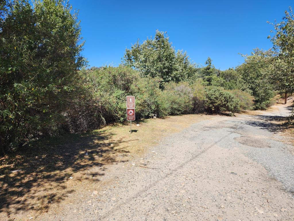 522 Elder Drive Property Photo 3