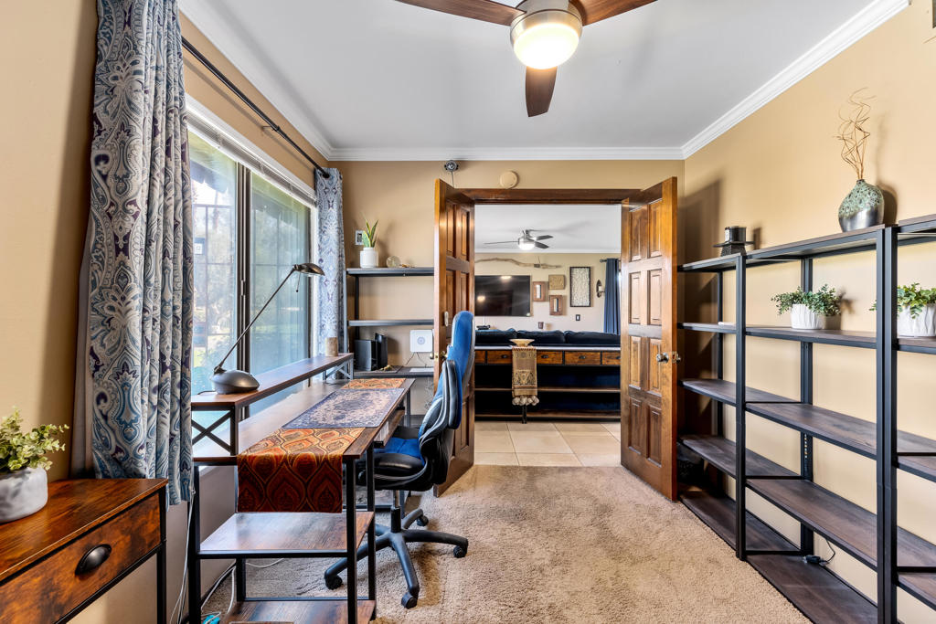 35981 Novio Court Property Photo 34
