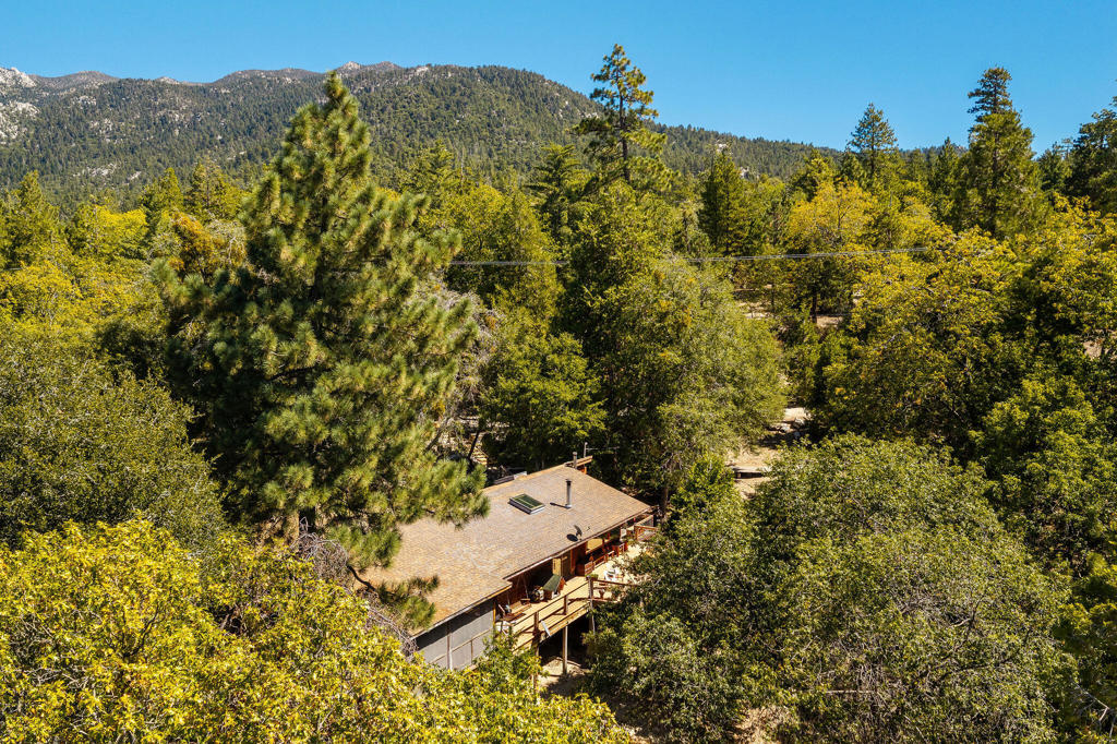 22901 Eagles Nest Drive Property Photo 4