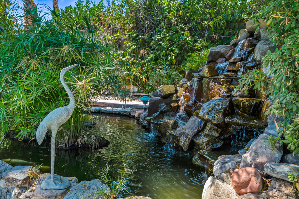 835 N Avenida Palmas Property Photo 50