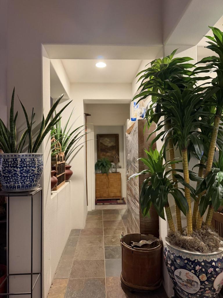 39 Via Amormio Property Photo 11