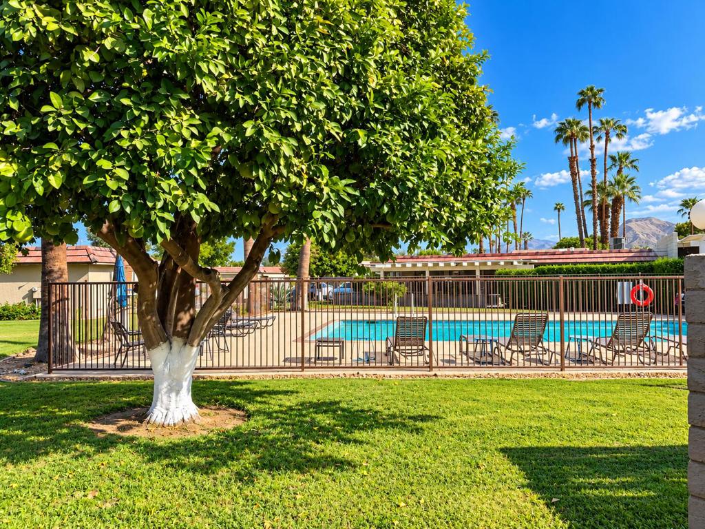 34554 Calle Las Palmas Property Photo 16