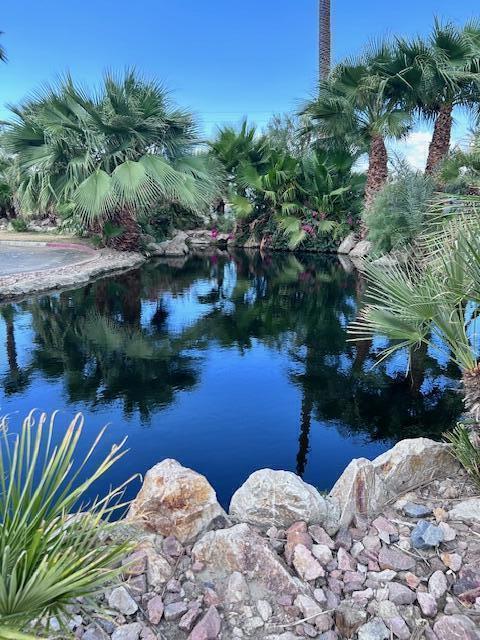 44451 Duckhorn Drive Property Photo 8